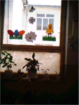 Vyzdobené okno