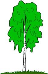 breza