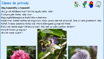 lúka a les, kvety v byte lúka a les, kvety v byte