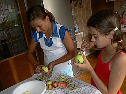 čistenie jabĺk