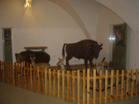 Humenné - múzeum