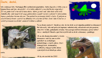 Dinosaury Dinosaury