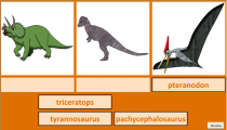 Druhy dinosaurov Druhy dinosaurov