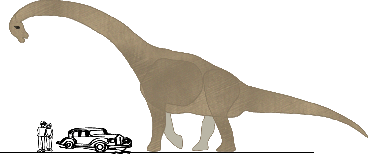 veľkosť brachiosaura