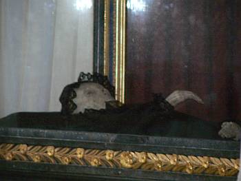 vitrína s múmiou hradnej panej Žofie Serédyovej