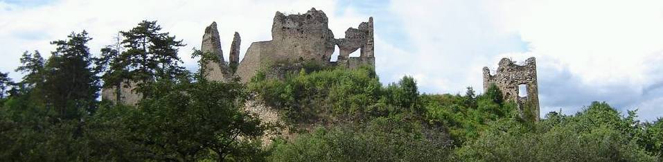 Zrúcaniny hradu v Divíne