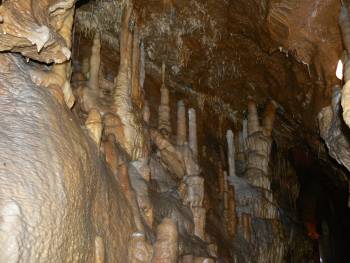 Jaskyňa Driny - sintrová výzdoba